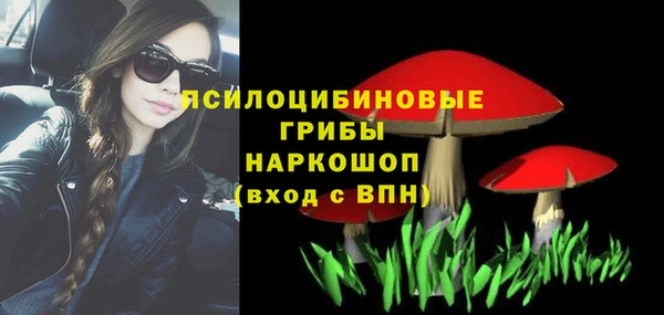 дурь Щёлкино