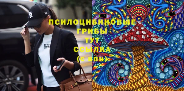 гидропоника Янаул