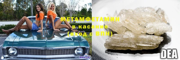 шишки Щигры