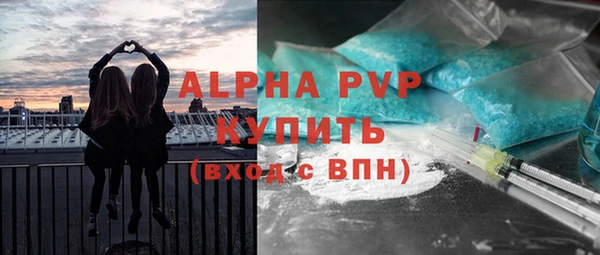 СК Яранск